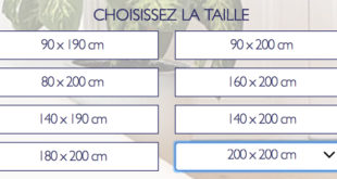 taille tediber