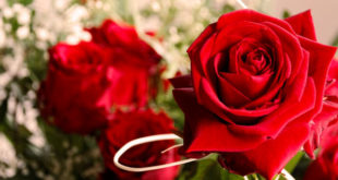 matelas fête des mères